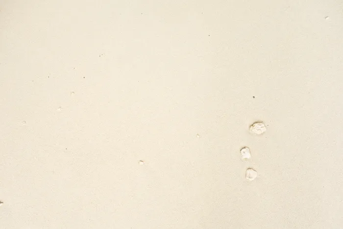 无标题, 质地, 沙子, 海滩, 单色, flatlay, 最小, 极简主义