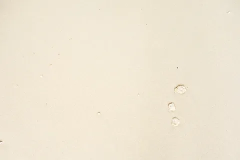 无标题, 质地, 沙子, 海滩, 单色, flatlay, 最小, 极简主义 无标题, 质地, 沙子, 海滩, 单色, flatlay, 最小, 极简主义