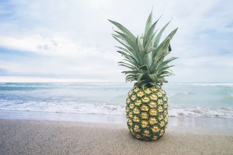 菠萝,海滩,海滩,水果,湖泊,海洋,沙子,夏天 菠萝,海滩,海滩,水果,湖泊,海洋,沙子,夏天