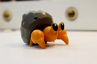 黑色、橙色、塑料海洋生物玩具、螃蟹、神奇宝贝、dwebble、进化、表示