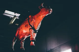 红色和黑色的动物挂在房间内的天花板上