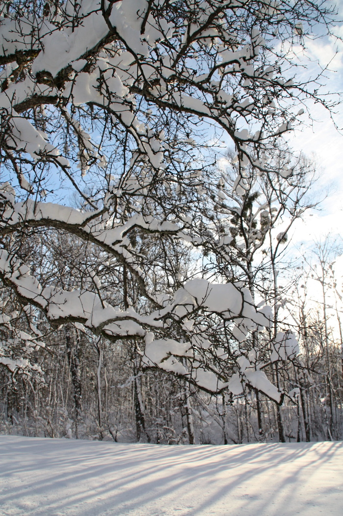 冬季，雪，雪景观，高山，冬季，寒冷，自然，白色