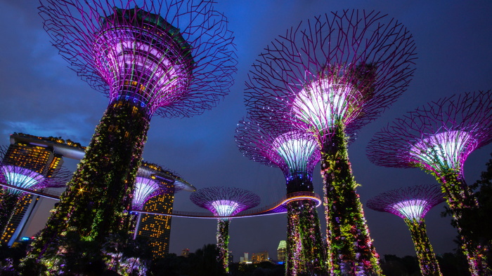 新加坡海湾花园，夜晚，灯光，地标，超级树，景点，五颜六色