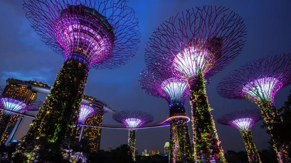 新加坡海湾花园,夜晚,灯光,地标,超级树,景点,五颜六色 新加坡海湾花园,夜晚,灯光,地标,超级树,景点,五颜六色