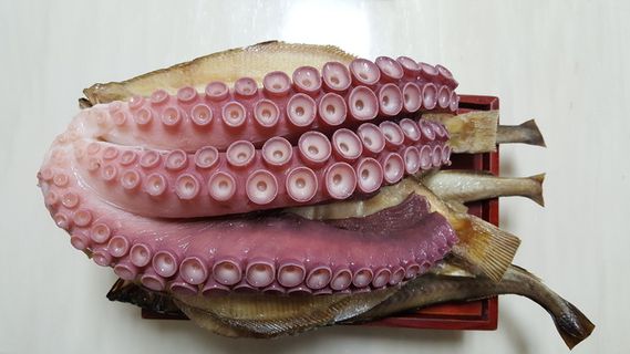 上电极、章鱼、赛、饮食、海鲜、美食、无人、健康饮食