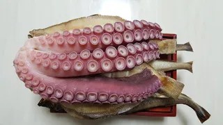 上电极、章鱼、赛、饮食、海鲜、美食、无人、健康饮食