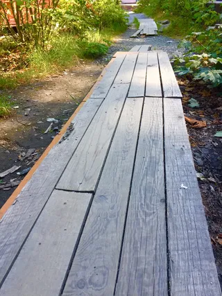 挪威，卑尔根，路径，木材-材料，植物，白天，人行道，方向