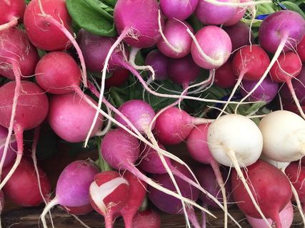 美国，wenatchee，北沃森街7号，萝卜，蔬菜，农场到餐桌，食品，食品和饮料