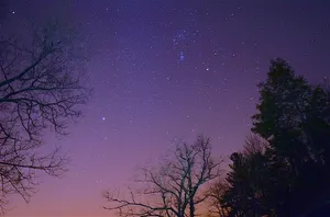 剪影摄影，树木，星星，夜晚，剪影，摄影，星星下，夜晚