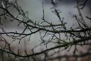 在秋天的森林里散步