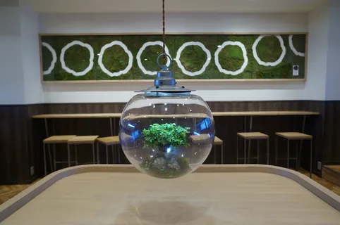 室内设计，空置，玻璃，显微视图，室内，白天，无人，特写