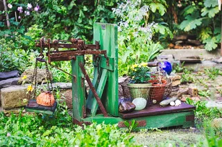 美丽，水平，花园，自然，热，活，叶子，石头