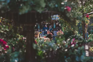 春天，吃，喝，植物，社交，闲逛，一瞥，街道