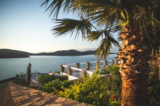 树木和山脉旁平静的水体