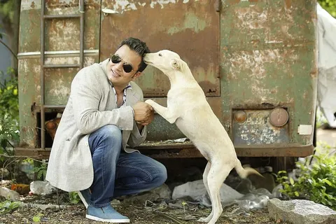 狗，男人，最好的朋友，流浪狗，模特，男人，爱，动物