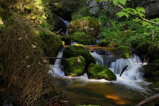 岩石，苔藓，巴赫，水，自然，石头，污垢，森林
