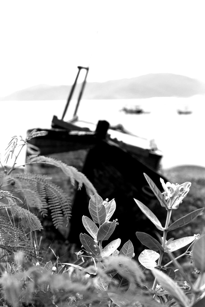 天空，旅行，颜色，光，越南，云，阳光，日落