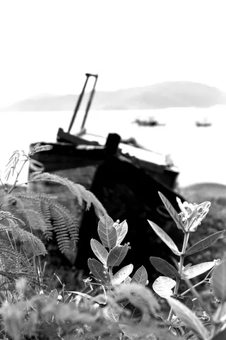 天空，旅行，颜色，光，越南，云，阳光，日落