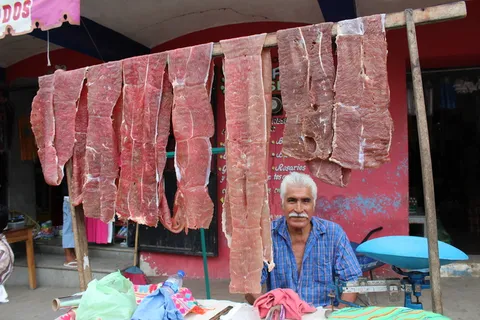 plaza、people、chatina、meat、瓦哈卡、土著、墨西哥、贫困 plaza、people、chatina、meat、瓦哈卡、土著、墨西哥、贫困