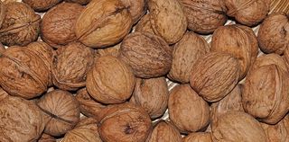 核桃、坚果、健康、维生素、面世、营养、全框架、食品和饮料