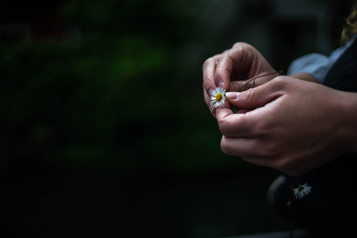拿着白色婴儿呼吸花特写照片的人