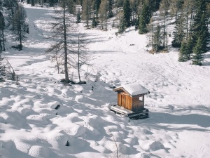 寒冷、雪、树、冬天、冒险、高山、小屋、小屋