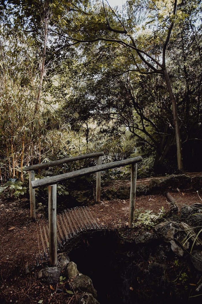 葡萄牙里斯本贝伦热带植物园