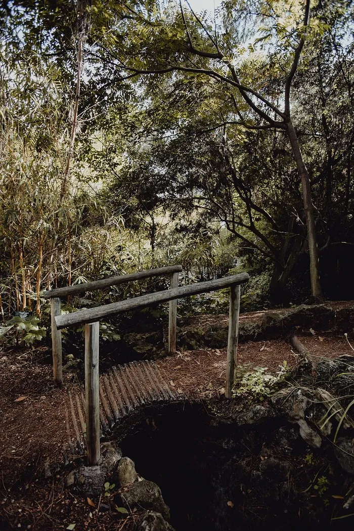 葡萄牙里斯本贝伦热带植物园