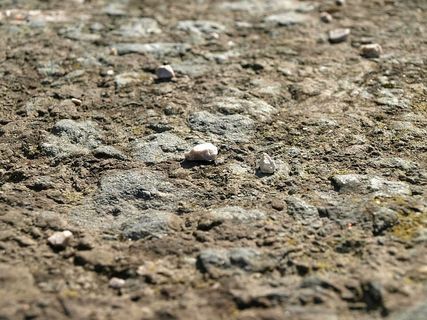 石头,卵石,开球,背景,纹理,图案,斯坦森,天然石 石头,卵石,开球,背景,纹理,图案,斯坦森,天然石