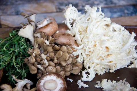 百里香,蘑菇,食品,食品和饮料,新鲜,蔬菜,健康饮食 百里香,蘑菇,食品,食品和饮料,新鲜,蔬菜,健康饮食