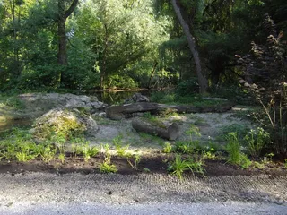 城市公园，公园，二丁，杜克城，巴伐利亚州上游，植物，树木，生长