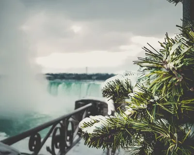 加拿大,尼亚加拉大瀑布,树木,圣诞节,冰冻,高清壁纸,水,天空 加拿大,尼亚加拉大瀑布,树木,圣诞节,冰冻,高清壁纸,水,天空