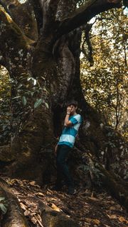 男孩,自然,蓝色,绿色,树,墙纸,年轻,高清墙纸 男孩,自然,蓝色,绿色,树,墙纸,年轻,高清墙纸