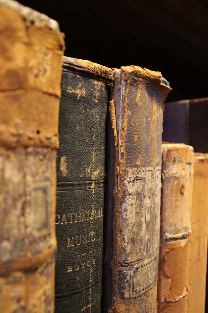 书籍，图书馆，阅读，书架，学习，复古，旧，书