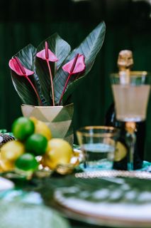 五彩缤纷的奇花异草