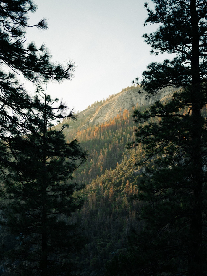 秋树和山坡照片