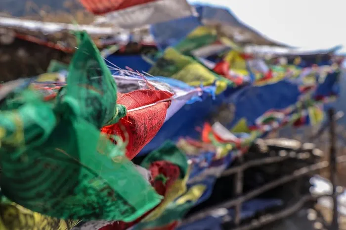 尼泊尔，戈德·帕尼，多色，白天，选择性聚焦，特写，无人，聚焦前景