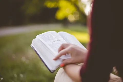 书,大学,教育,女孩,文学,户外,纸张,公园 书,大学,教育,女孩,文学,户外,纸张,公园