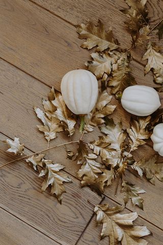 金色橡树叶白南瓜