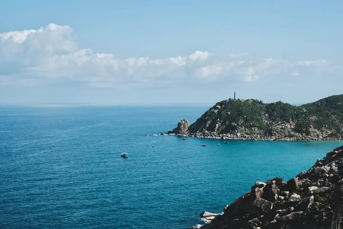 山上的绿树
