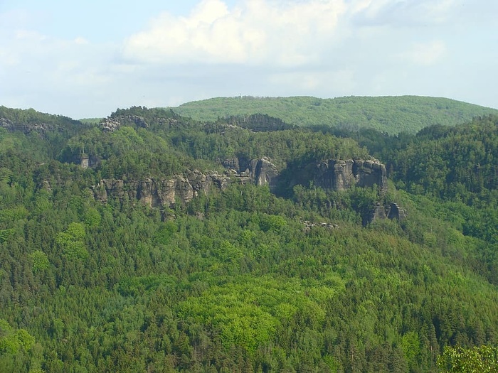 山，云，夏天，森林，天空，树木，森林，美丽