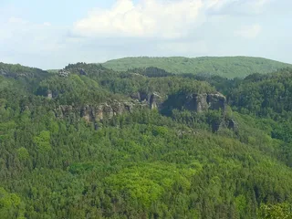 山，云，夏天，森林，天空，树木，森林，美丽