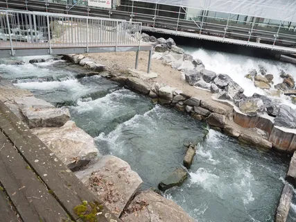 水、湖泊、伯尔尼、瑞士、欧洲、建筑、景观、流水