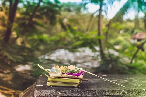 花卉聚焦摄影 花卉聚焦摄影