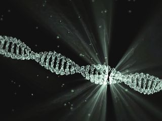 清晰，dna细胞插图，dna，卢米娜计划，沃尔特·韦曼，水滴，特写，水