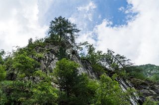 意大利、阿维奥洛湖、山、蒙塔尼亚、弗雷斯塔、阿尔伯里、阿达梅洛、阿尔卑斯山