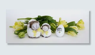 白色，羊党，宠儿，羊，复活节，复活节彩蛋，装饰