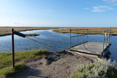 特种渡轮，客运渡轮，手动操作，Fannemans渡轮，翻译，码头，web，岛屿