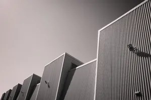 建筑物灰度照片