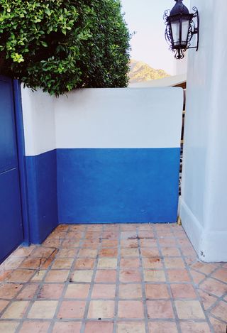 在美国，拉昆塔，49499艾森豪威尔博士，植物，建筑，树，没有人，建造结构